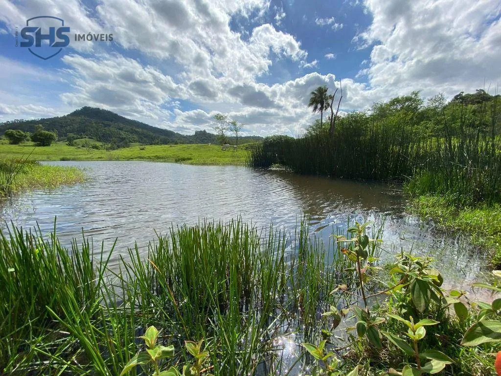 Sítio com 5 dormitórios à venda, 20002 m por R$ 1.800.000,00 - Encano - Indaial/SC — foto 4