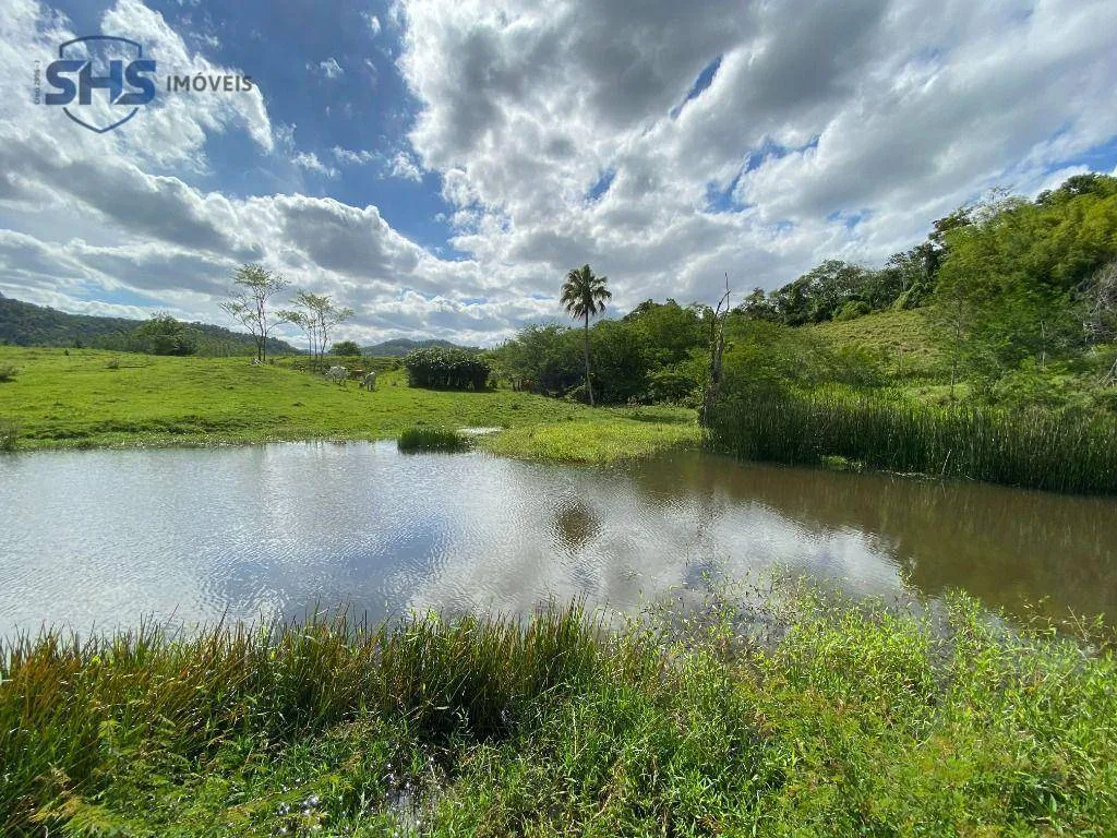 Sítio com 5 dormitórios à venda, 20002 m por R$ 1.800.000,00 - Encano - Indaial/SC — foto 5
