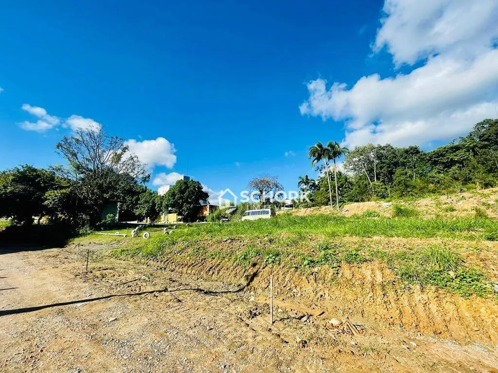Terreno à venda, 4509 m por R$ 4.000.000,00 - Velha - Blumenau/SC — foto 6