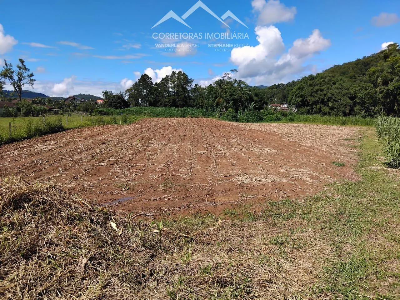 Terreno à venda, TESTO REGA, POMERODE - SC - foto 1