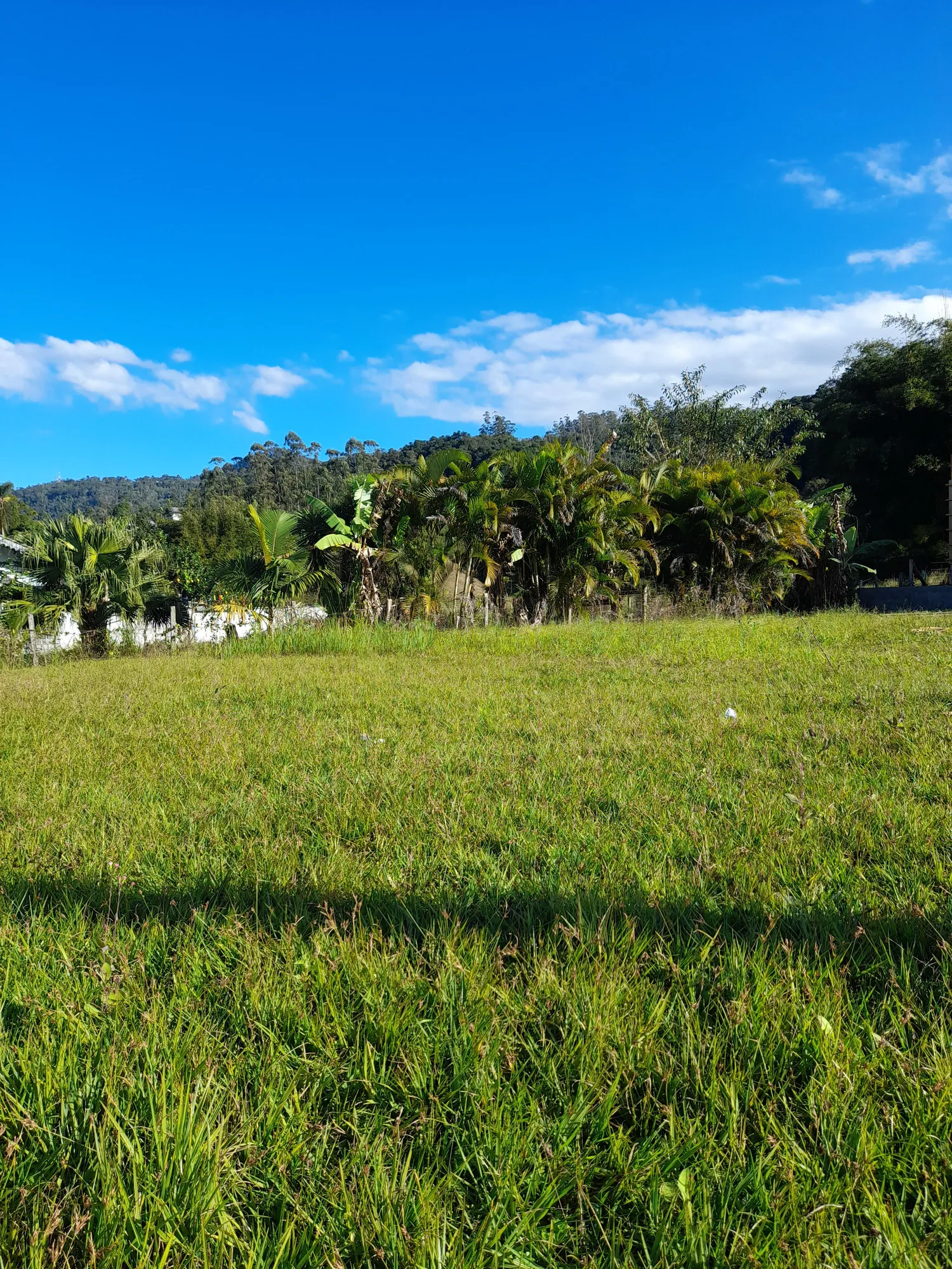 Terreno de Esquina — foto 3