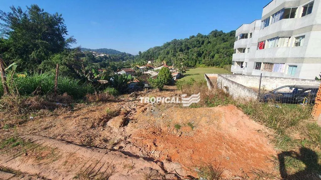 Terreno à venda, 10027 m por R$ 3.000.000,00 - Testo Salto - Blumenau/SC - foto 1