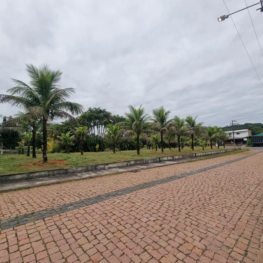 Terreno à venda no bairro Padre Martinho Stein em Timbó/SC - foto 1