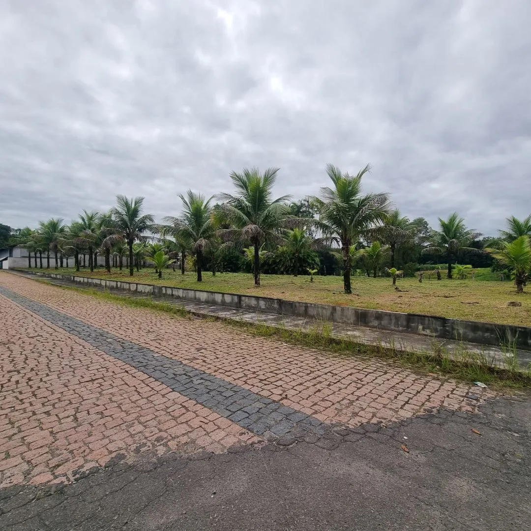Terreno à venda no bairro Padre Martinho Stein em Timbó/SC — foto 2
