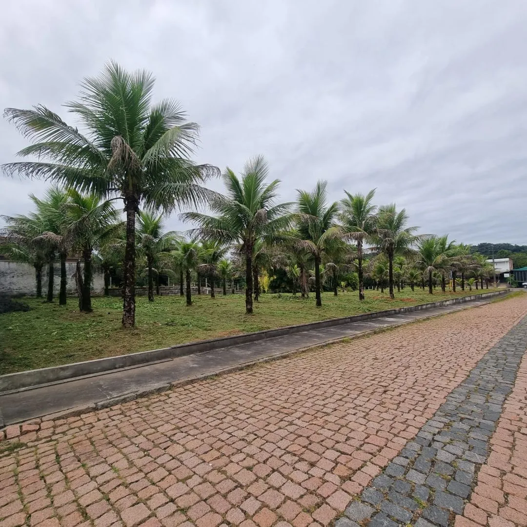 Terreno à venda no bairro Padre Martinho Stein em Timbó/SC — foto 3