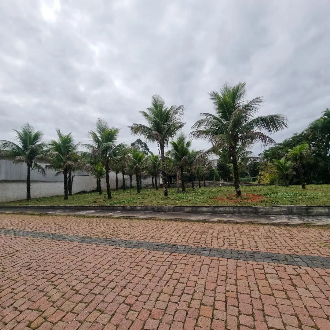 Terreno à venda no bairro Padre Martinho Stein em Timbó/SC — foto 4