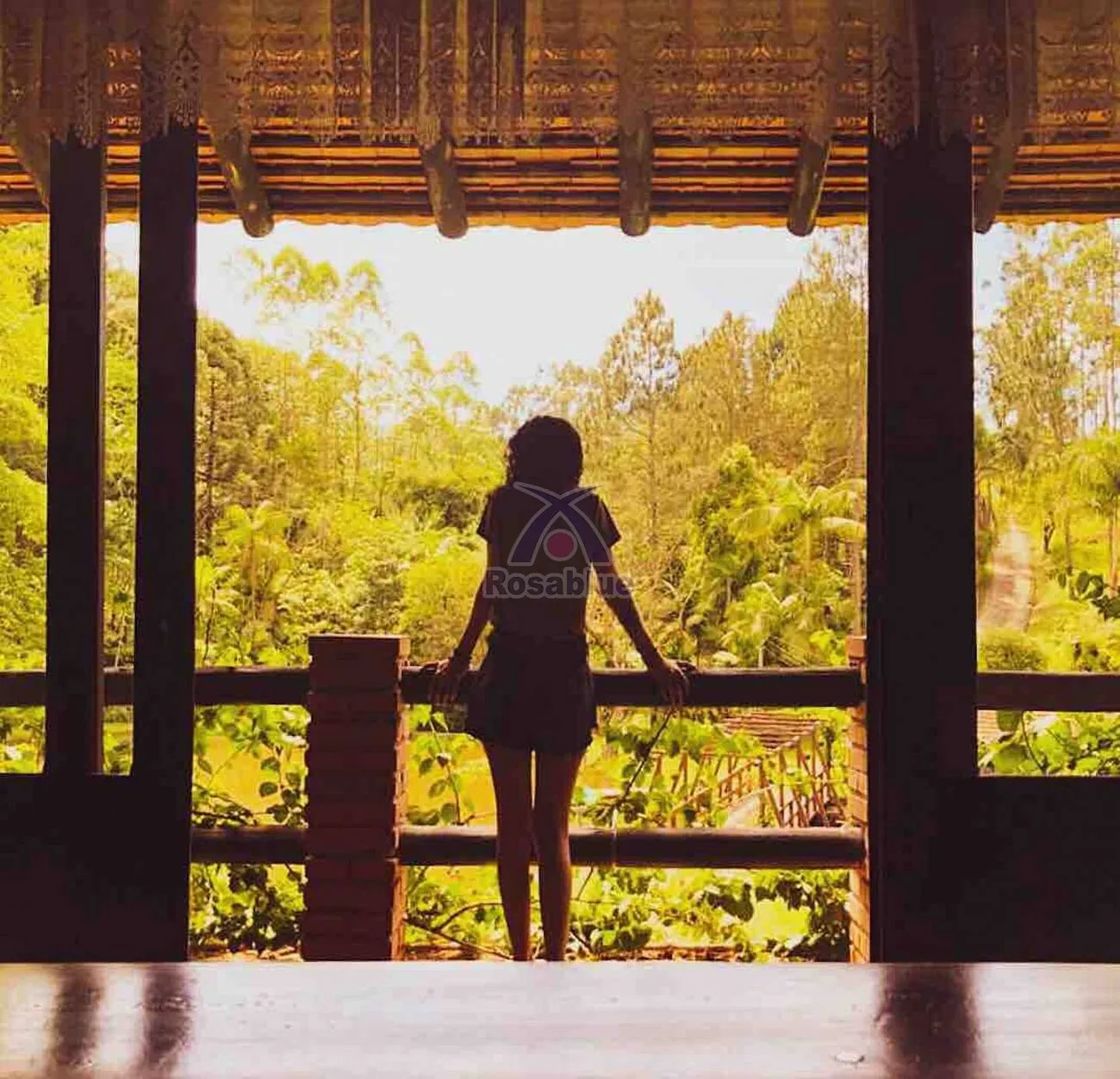 CHÁCARA IBIRAMA — foto 4