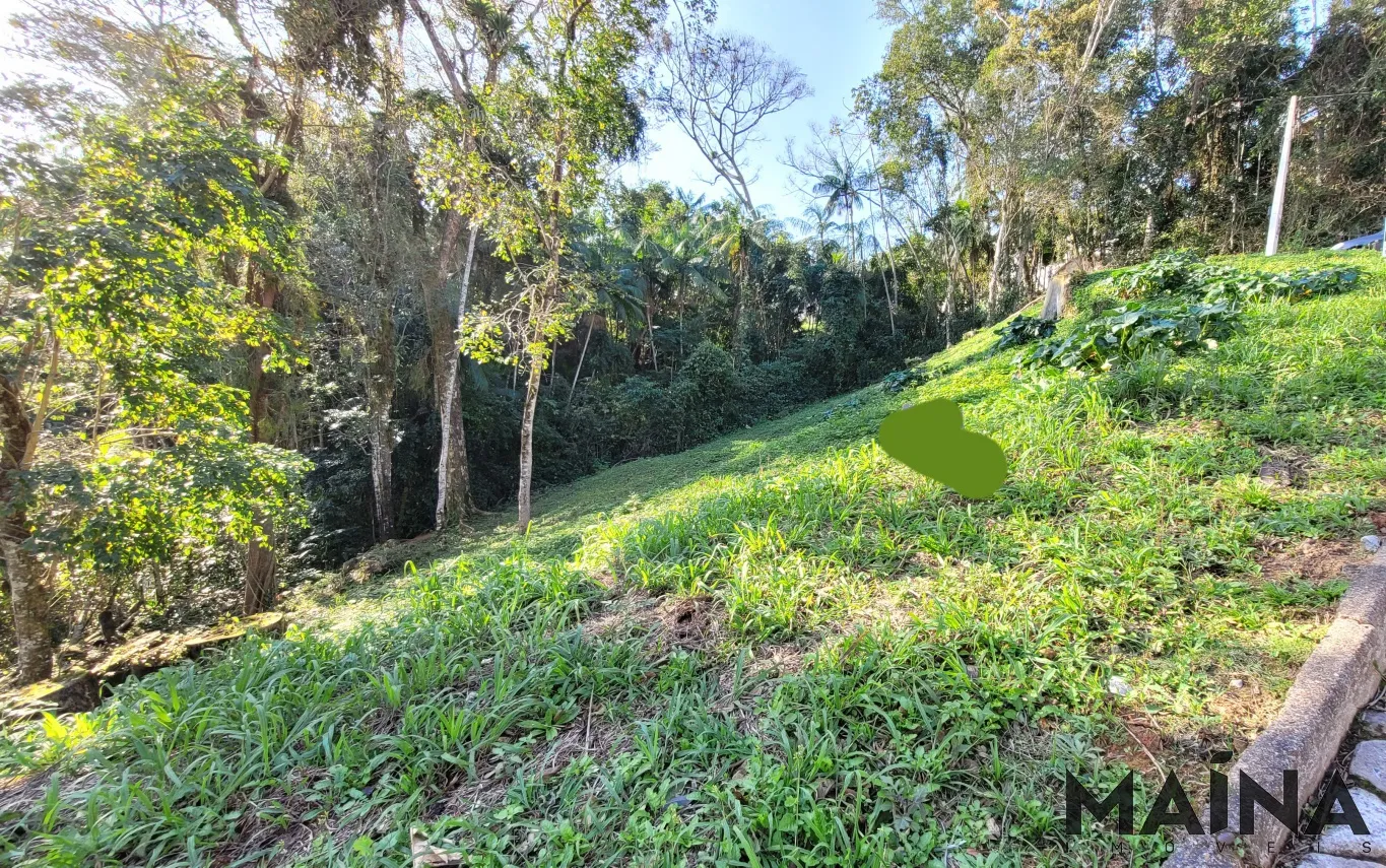 TERRENO EM RUA SEM SAÍDA NA VILA NOVA — foto 3