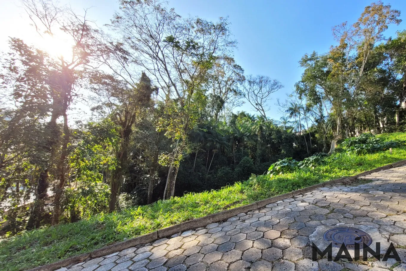 TERRENO EM RUA SEM SAÍDA NA VILA NOVA — foto 4