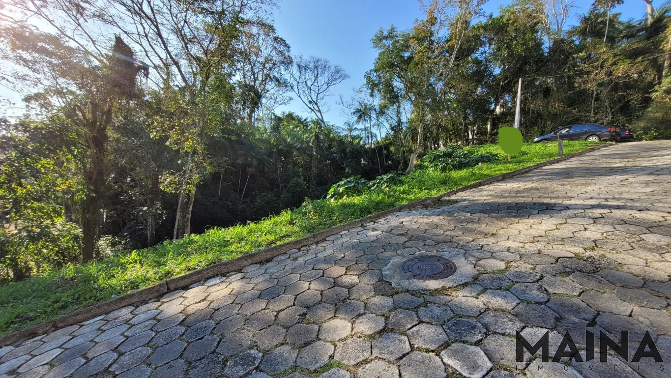 TERRENO EM RUA SEM SAÍDA NA VILA NOVA — foto 5