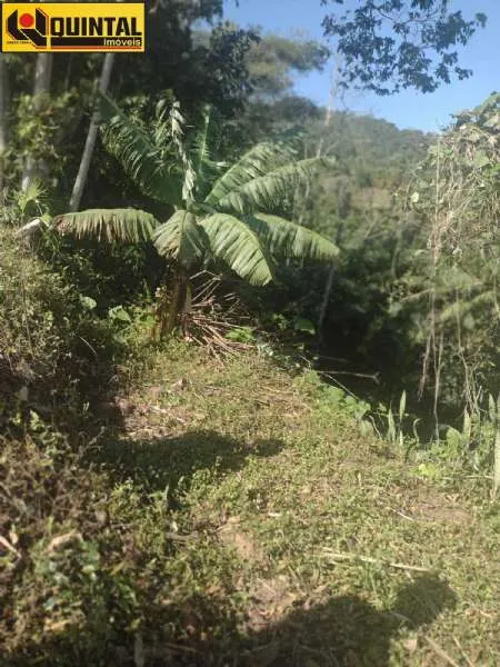 Terreno Blumenau SC brasil — foto 3
