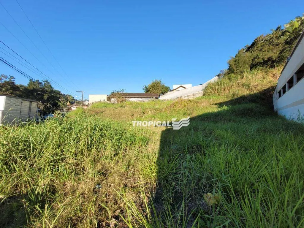 Terreno à venda, 990 m por R$ 1.120.000,00 - Fortaleza - Blumenau/SC — foto 2