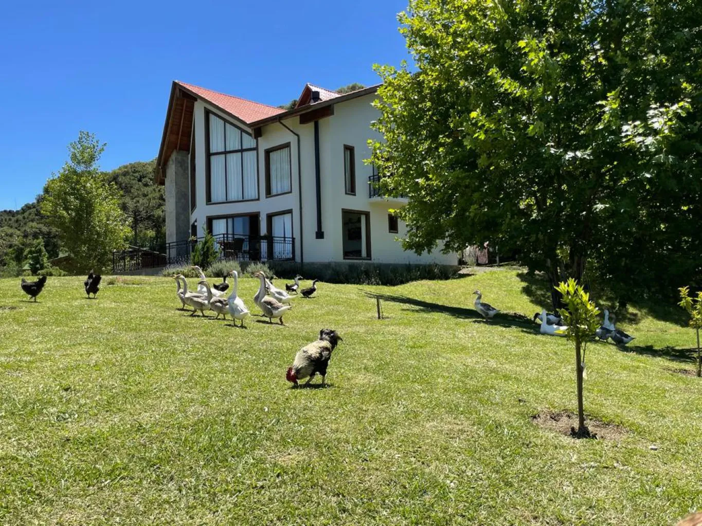 Casa de campo a venda em Urubici, condomínio EcoVille. — foto 2