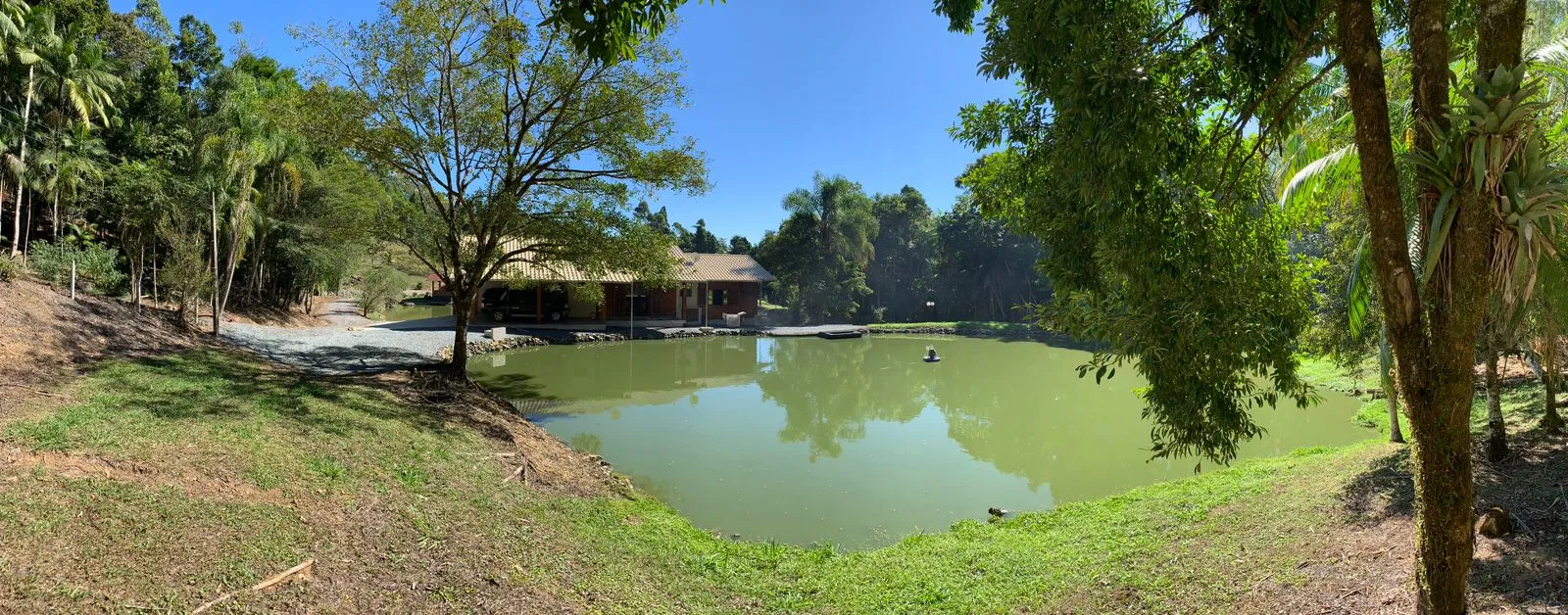 VENDE-SE SITIO EM RIBEIRÃO SOUTO POMERODE — foto 3