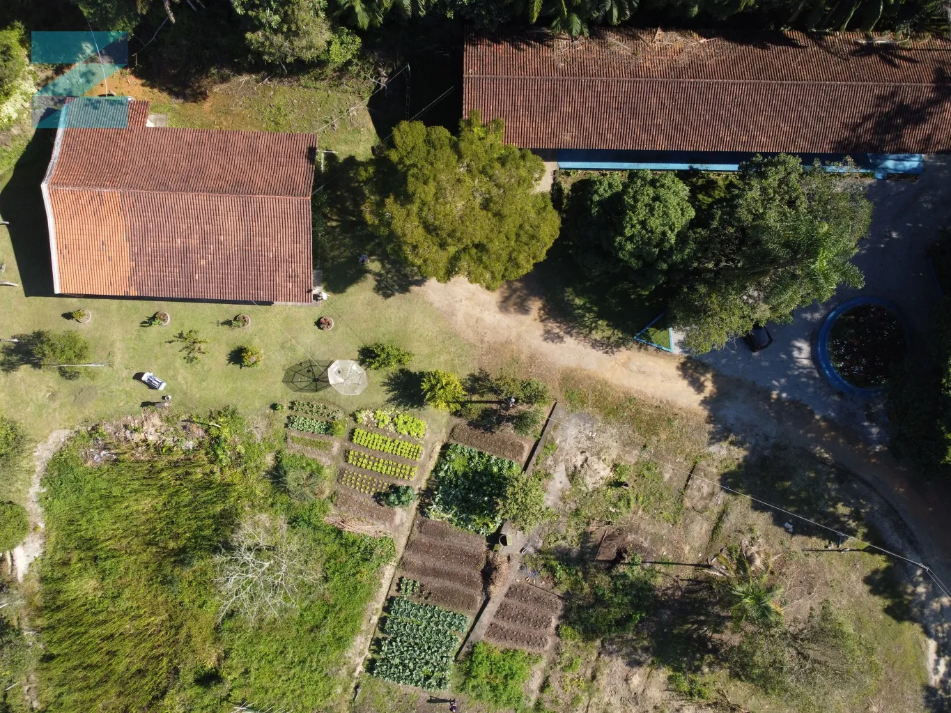 Sitio com 5,7 hectares, com nascente de água ! — foto 4