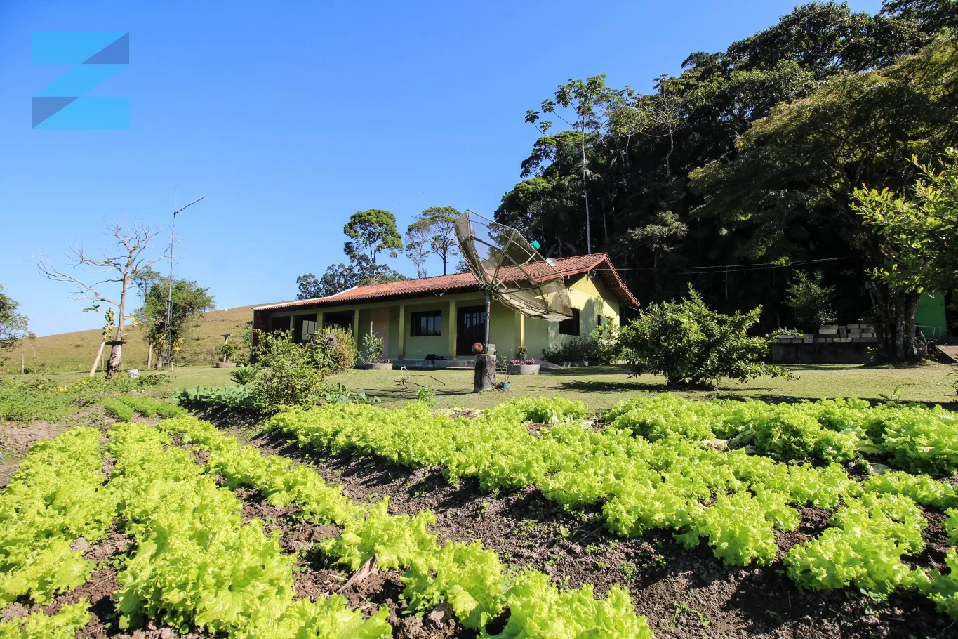 Sitio com 5,7 hectares, com nascente de água ! - foto 1
