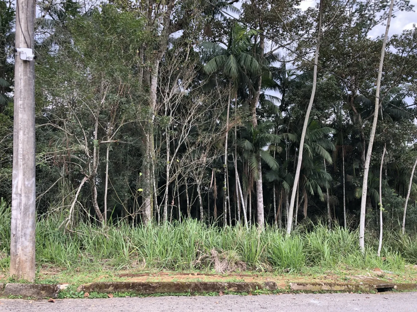 Ótimo terreno no Bairro da Velha, Próximo ao Parque Ramiro Ruediger, Loteamento Mont Blanc, Blumenau Santa Catarina - foto 1