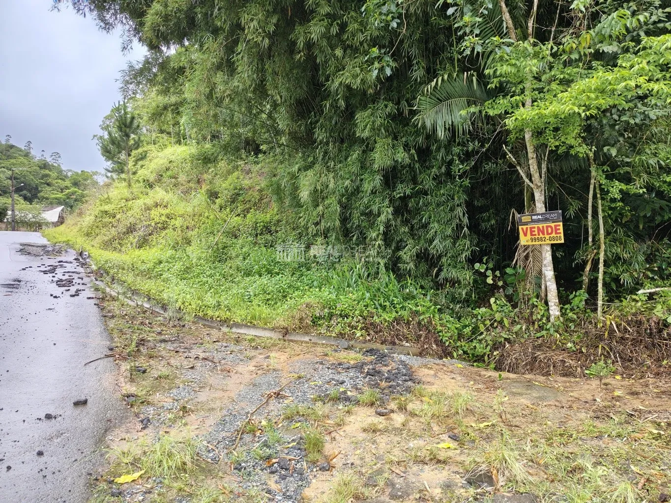 Terreno com um riacho. - foto 1