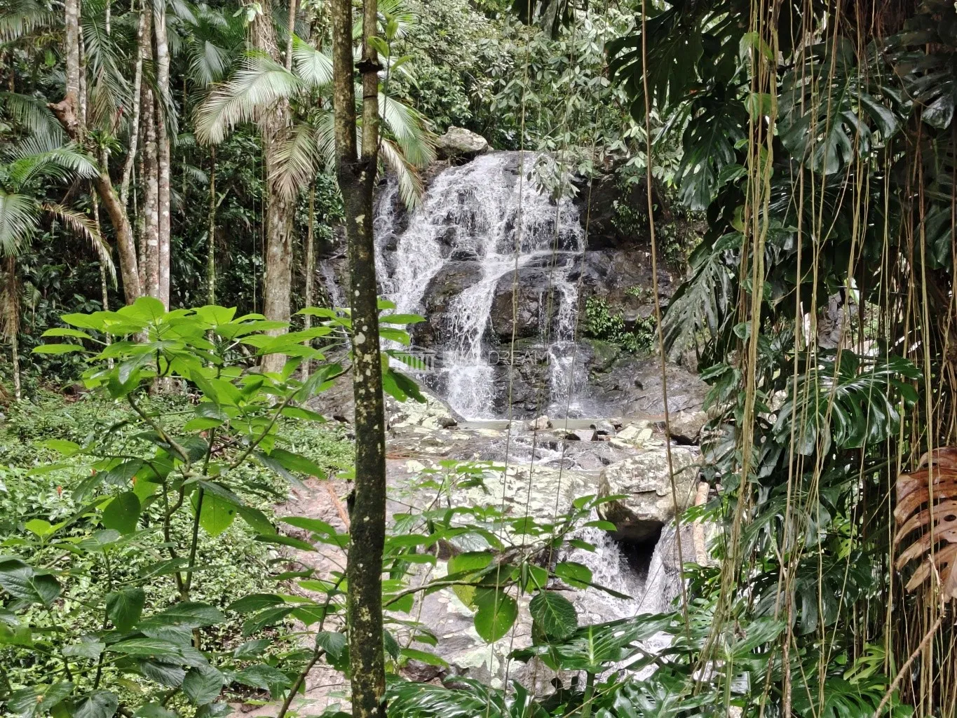 Terreno com um riacho. — foto 4
