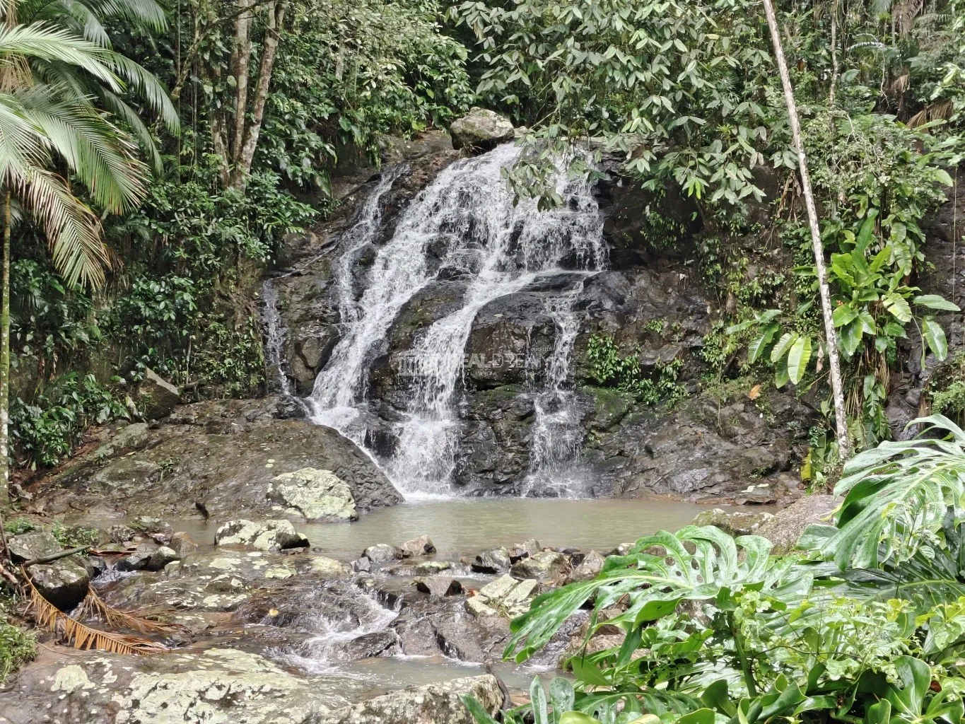 Terreno com um riacho. — foto 5