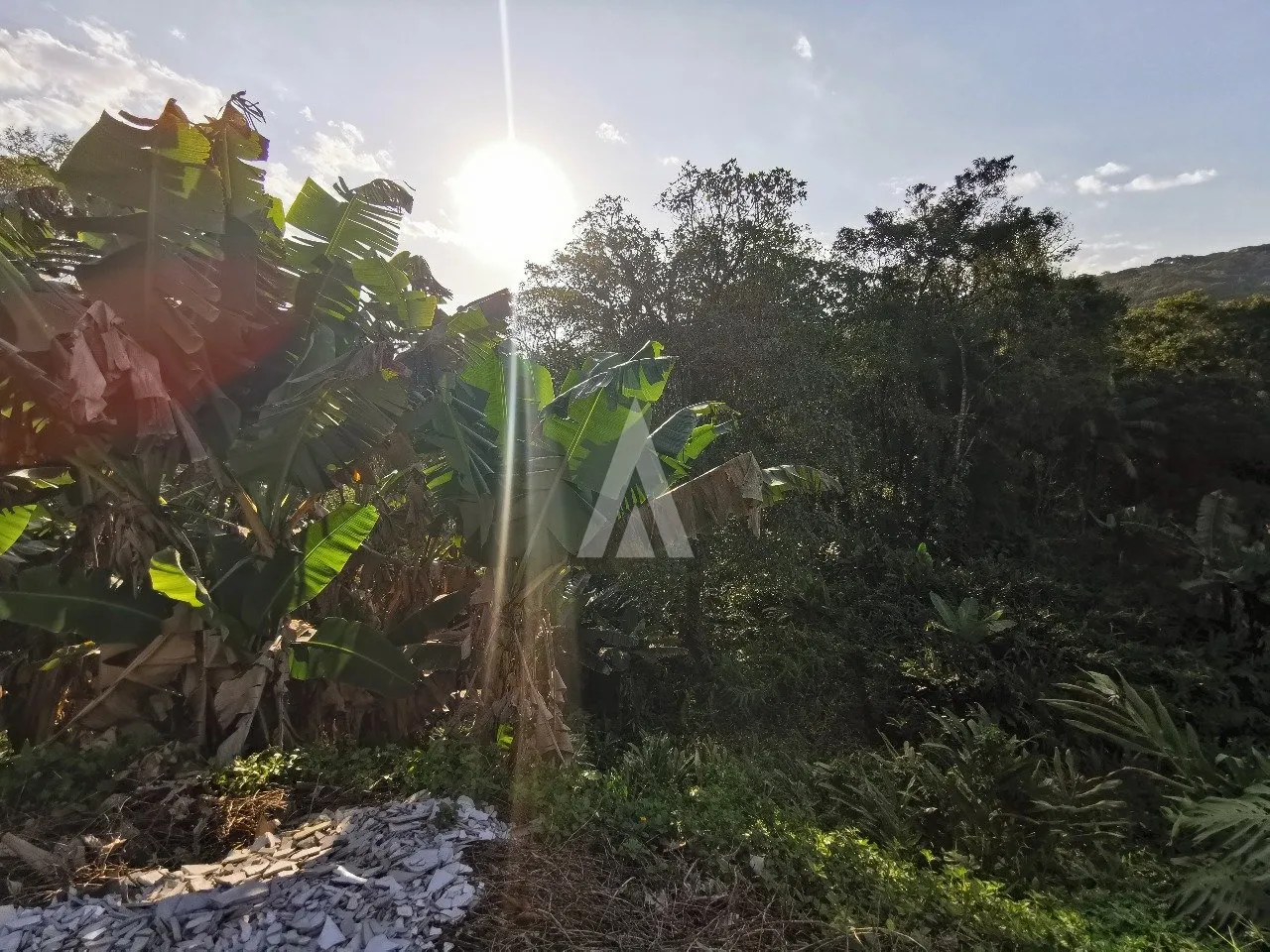 Galpão à venda no bairro Nova Brasília em Joinville, por R$ 3.200.000.00. — foto 2