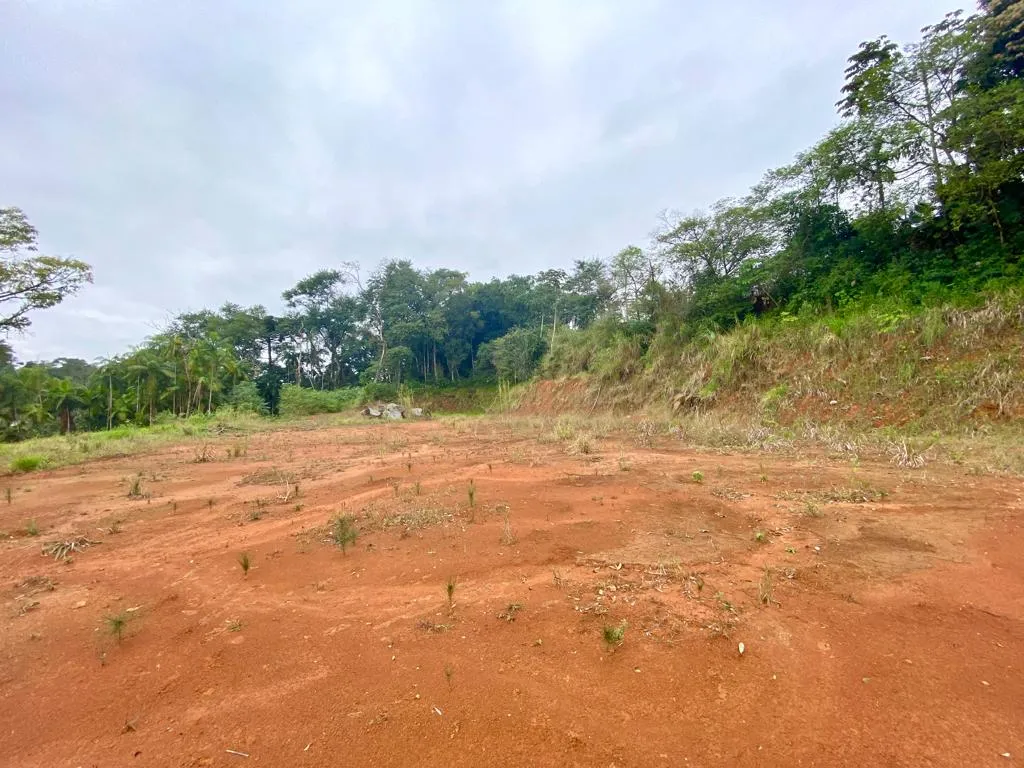 Terreno à venda no bairro Padre Martinho Stein em Timbó/SC — foto 5