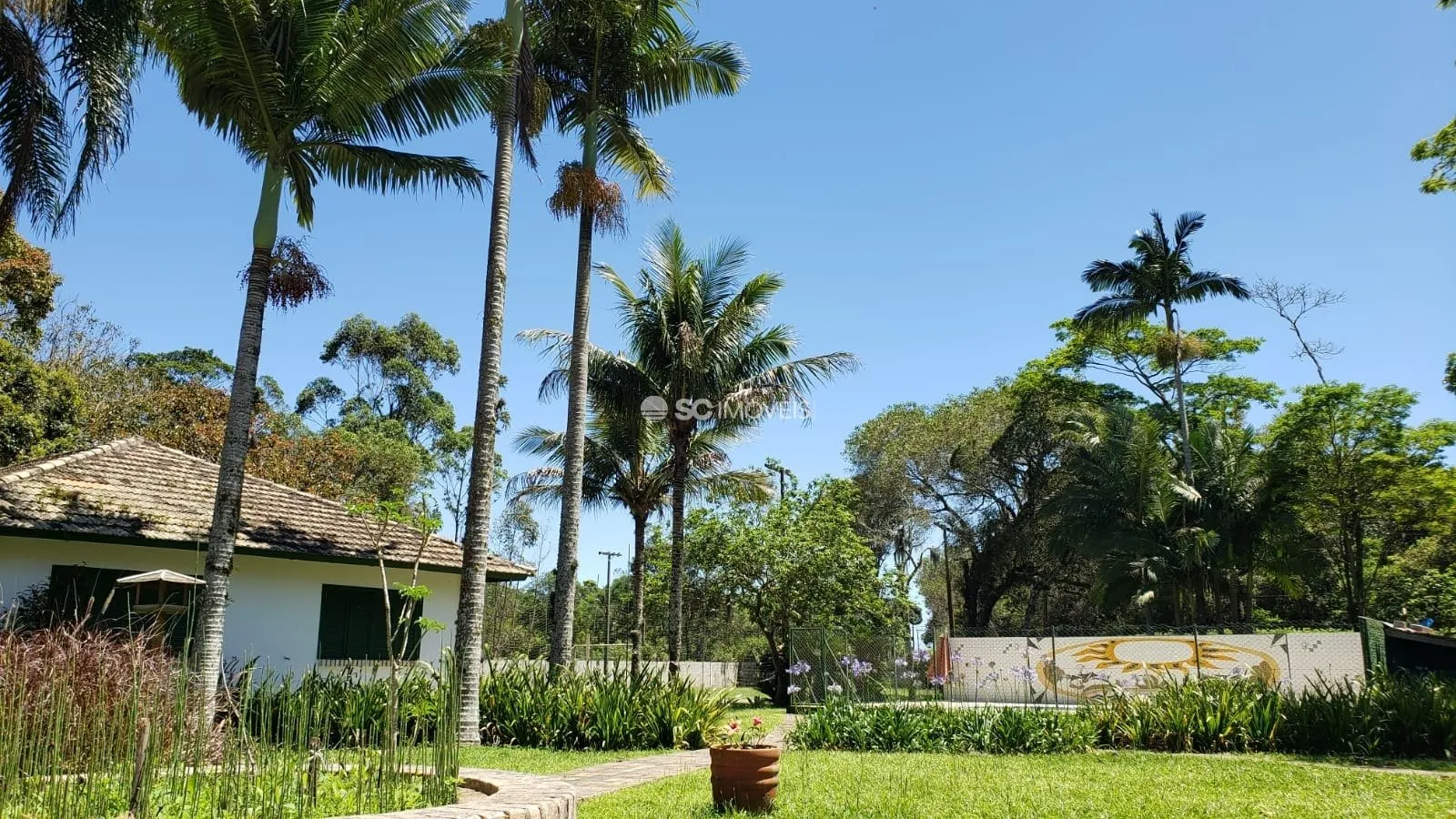 Imóvel Rural à venda com 7 quartos, 2 vagas, 5200m² na Bento Manoel Ferreira no Ratones, Florianópolis — foto 3