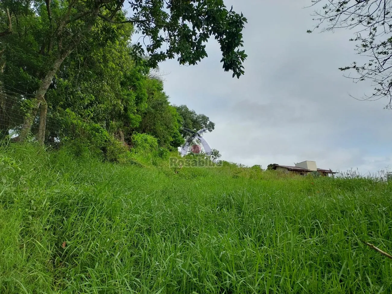TERRENO - BUDAG - RIO DO SUL — foto 5