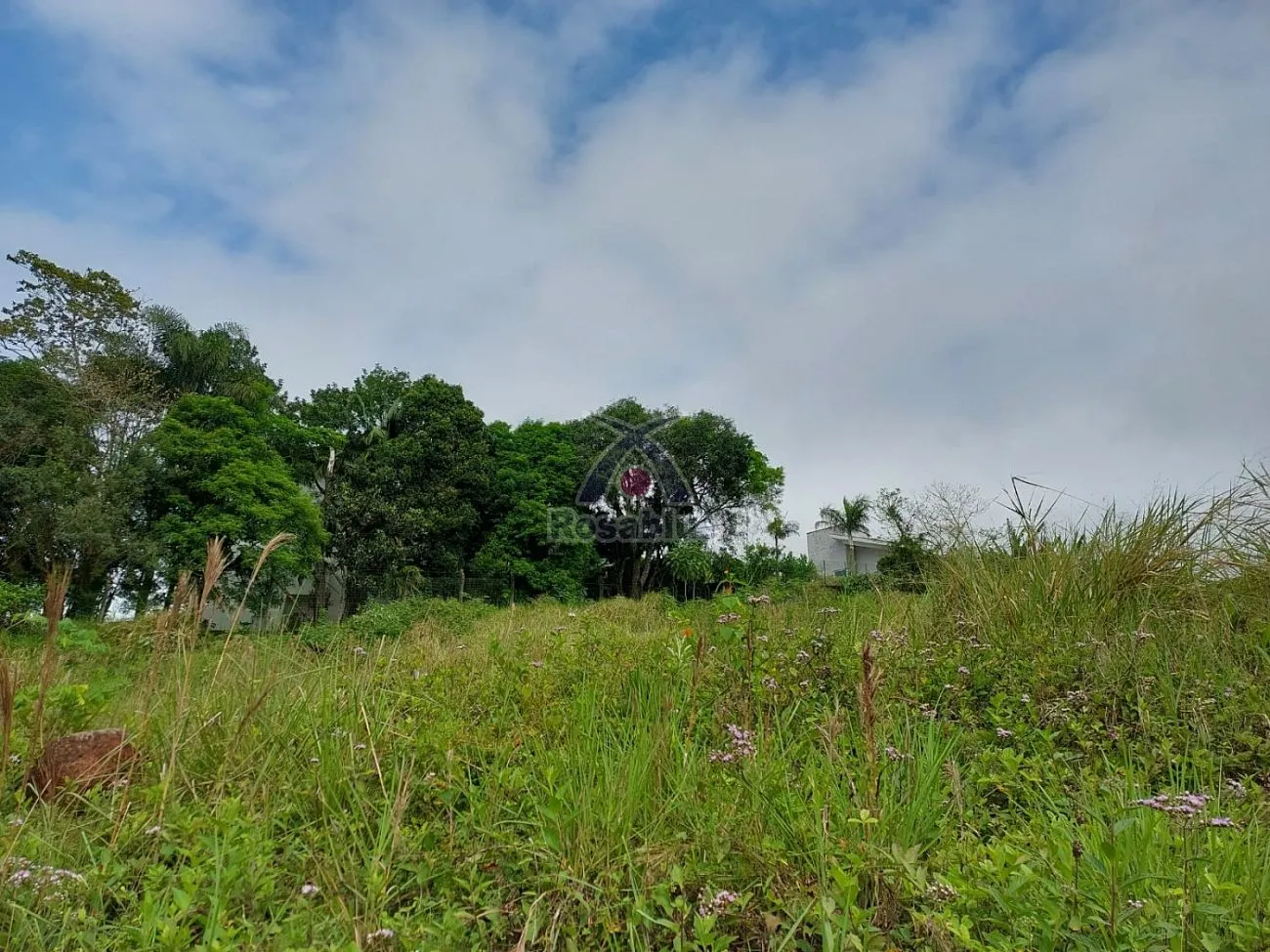TERRENO - BUDAG - RIO DO SUL — foto 6