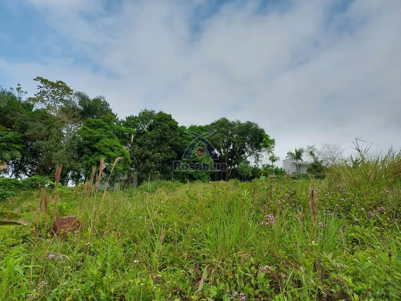 TERRENO - BUDAG - RIO DO SUL — foto 7