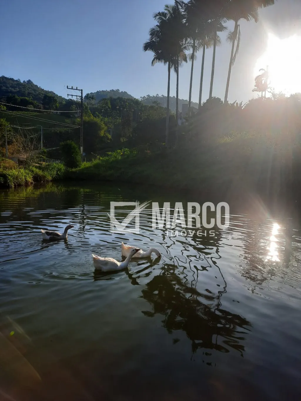 LINDA CHÁCARA EM TESTO CENTRAL — foto 2