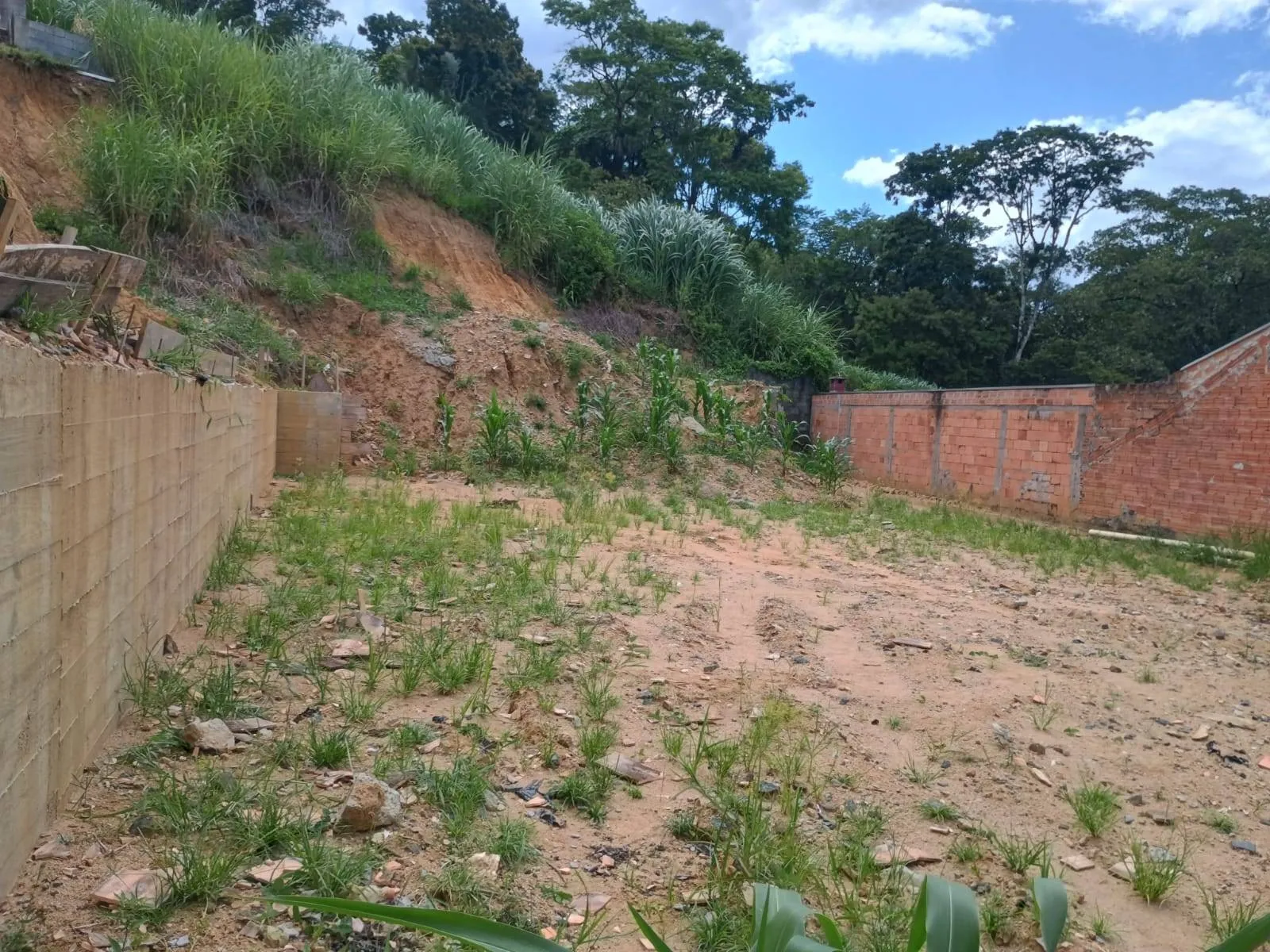 TERRENO Blumenau SC brasil — foto 2