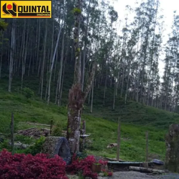 Sítio Rio dos Cedros SC brasil — foto 4