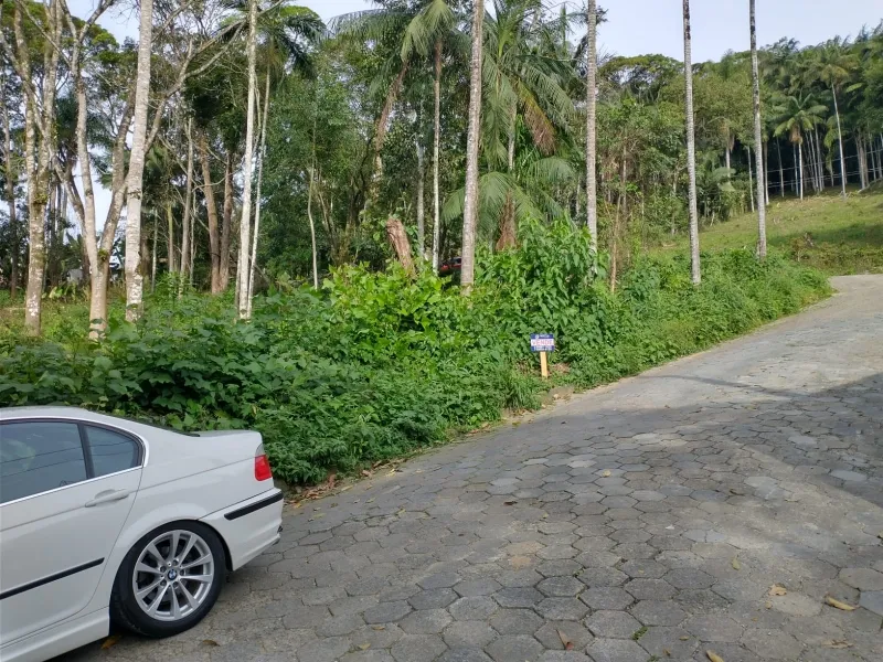 Terreno Velha 355 — foto 2