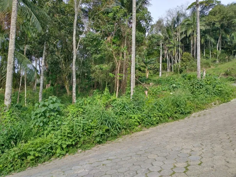 Terreno Velha 355 — foto 3