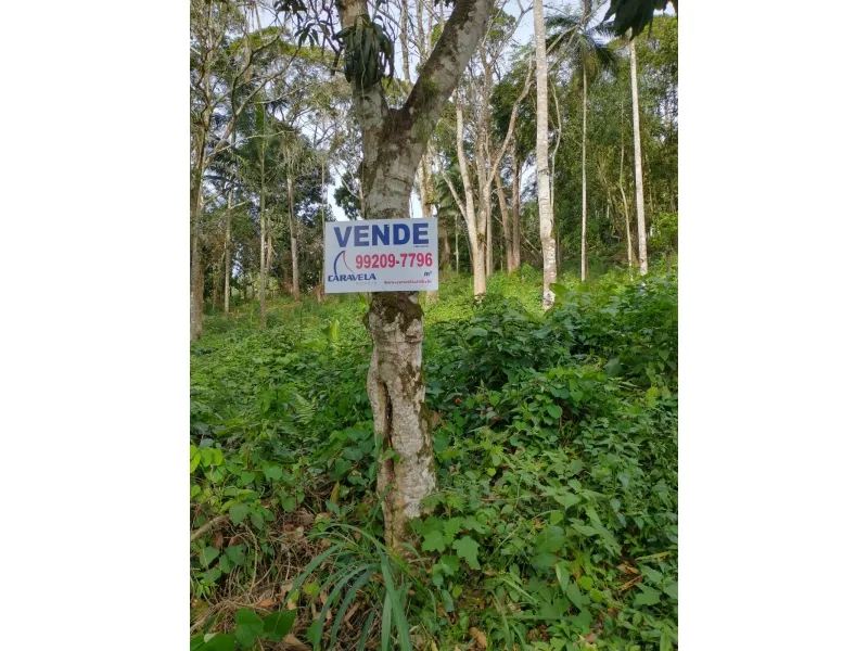 Terreno Velha 355 — foto 5