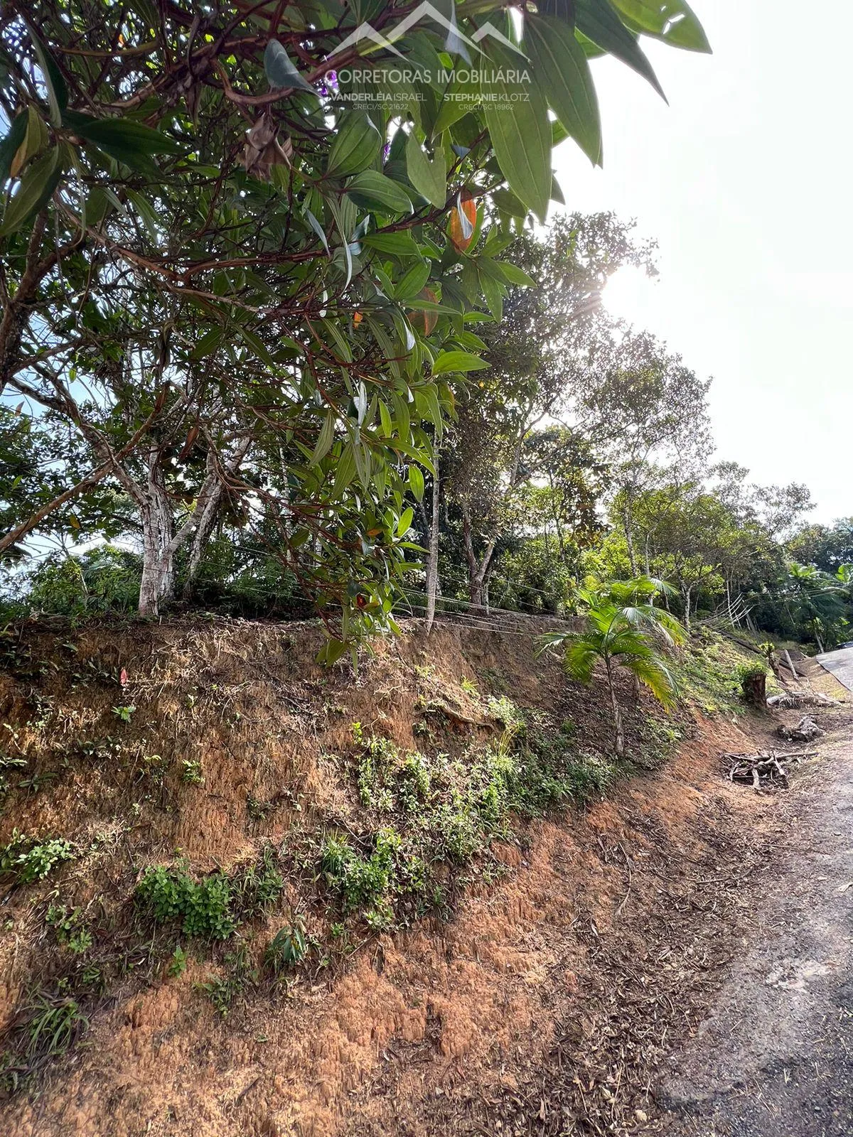 TERRENO, Testo Rega, Pomerode SC — foto 2