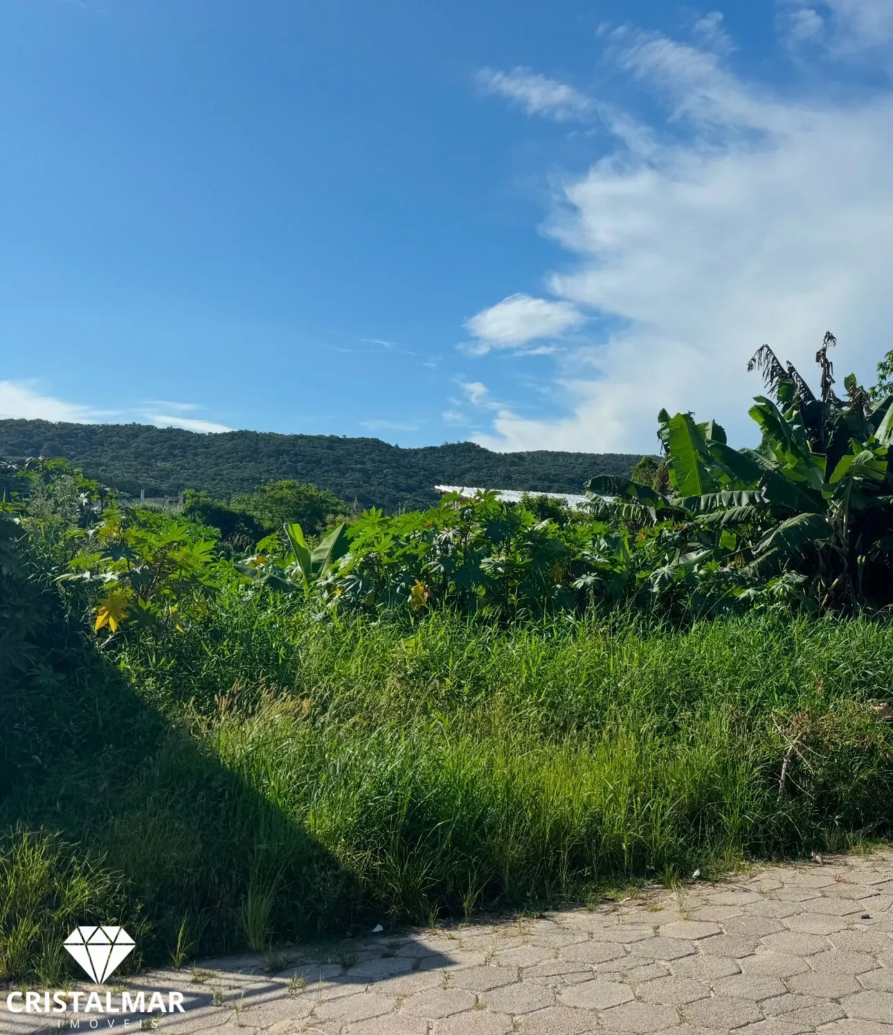 EXCELENTE TERRENO NA PRAIA DE BOMBAS - foto 1