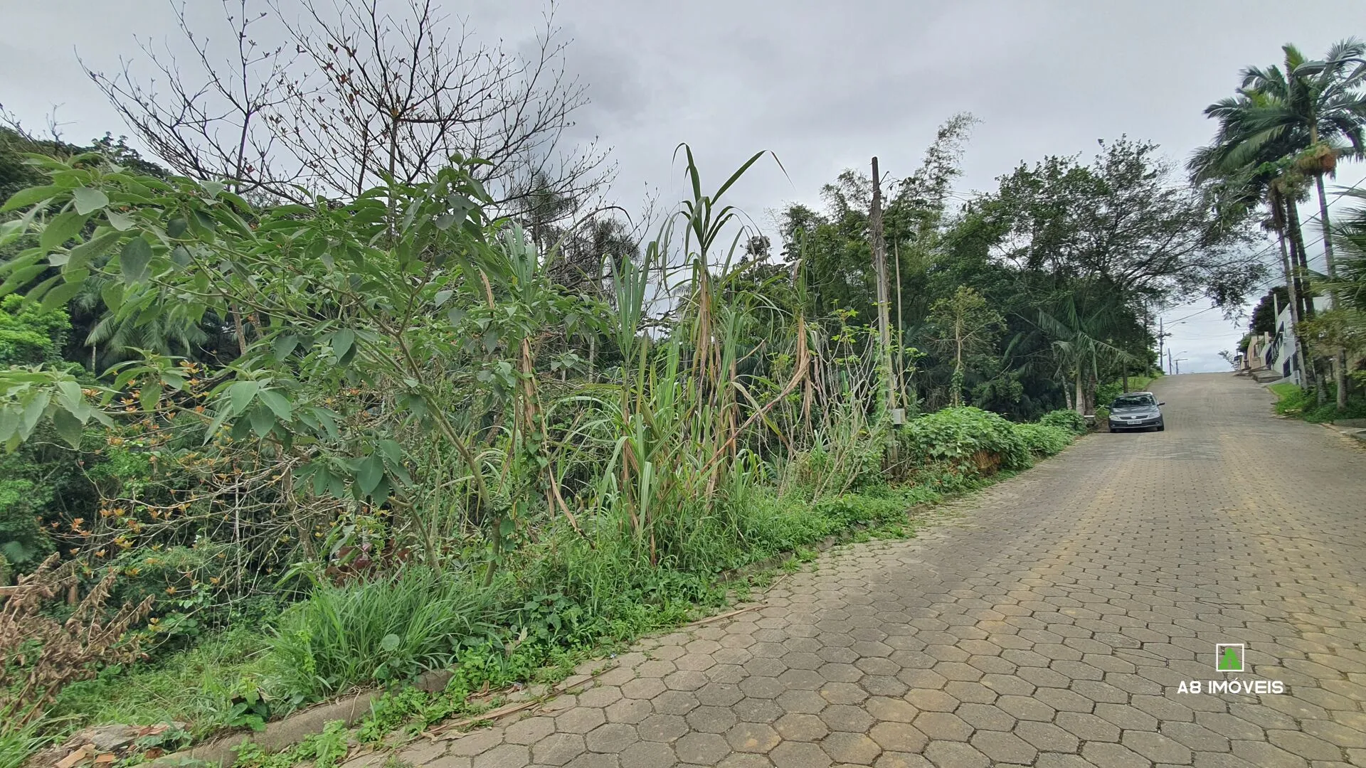 OPORTUNIDADE! Terreno bairro Itoupava Central c/ 345 m R$ 199.000,00 — foto 2