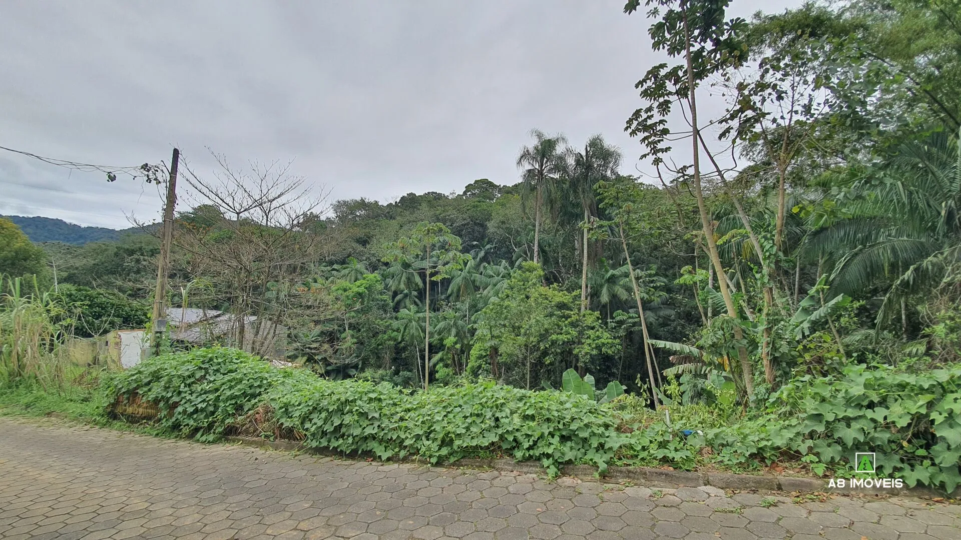 OPORTUNIDADE! Terreno bairro Itoupava Central c/ 345 m R$ 199.000,00 — foto 3