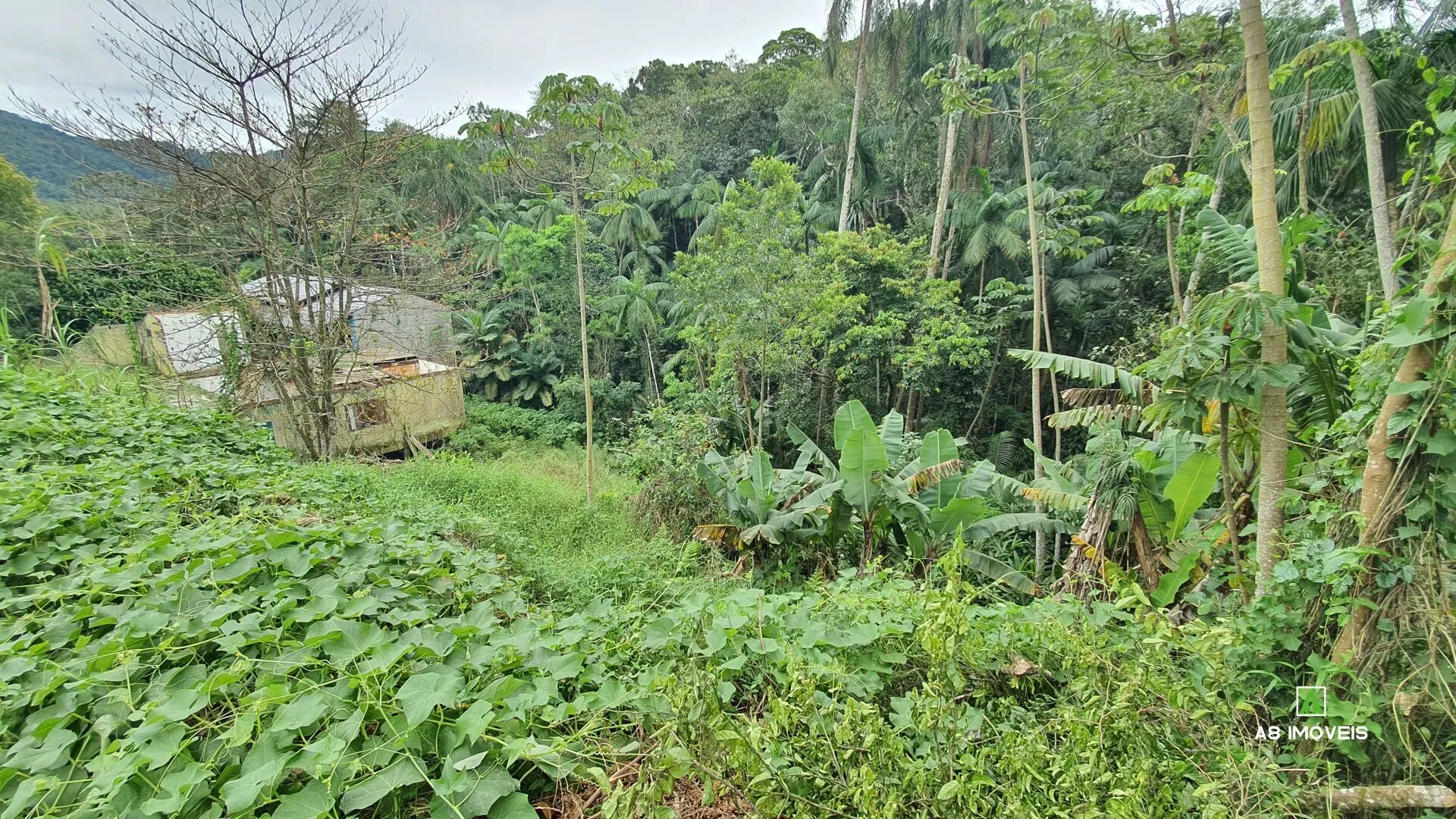 OPORTUNIDADE! Terreno bairro Itoupava Central c/ 345 m R$ 199.000,00 — foto 4
