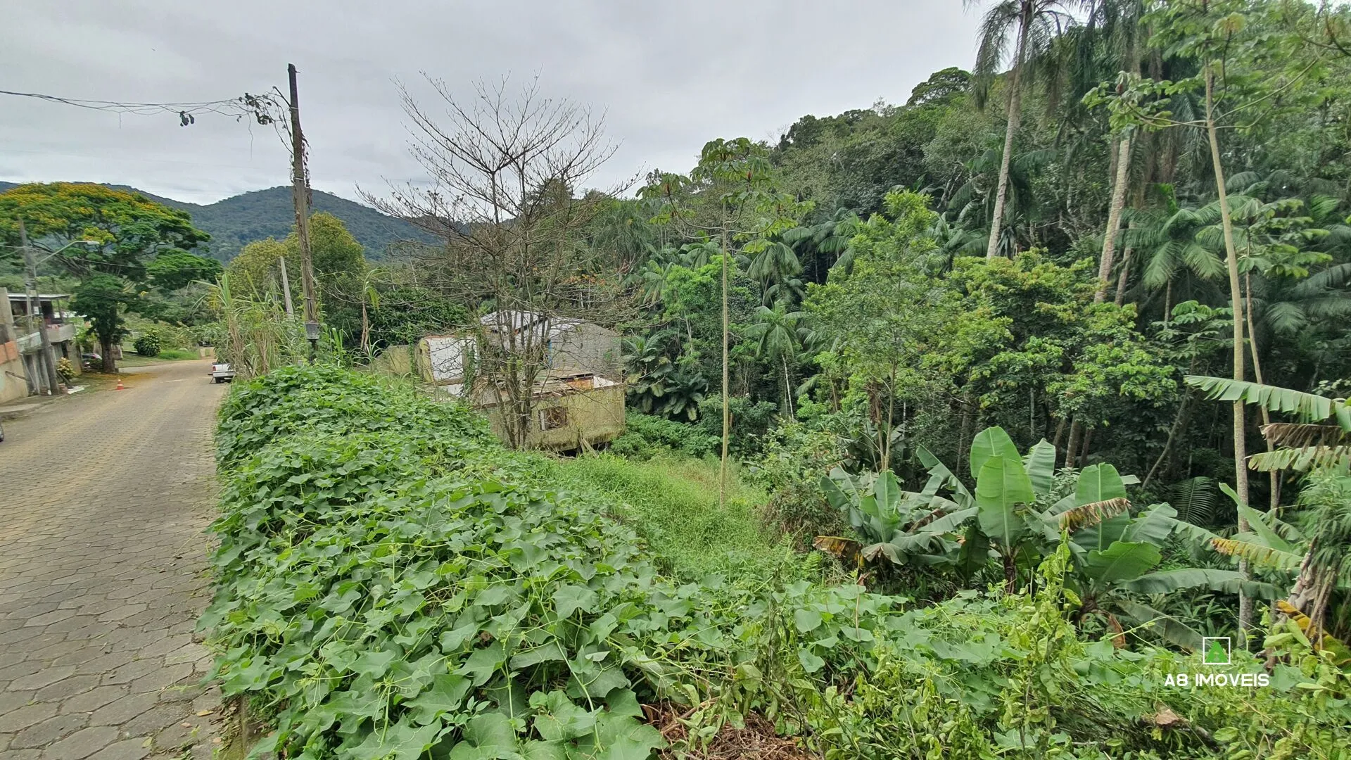 OPORTUNIDADE! Terreno bairro Itoupava Central c/ 345 m R$ 199.000,00 — foto 5