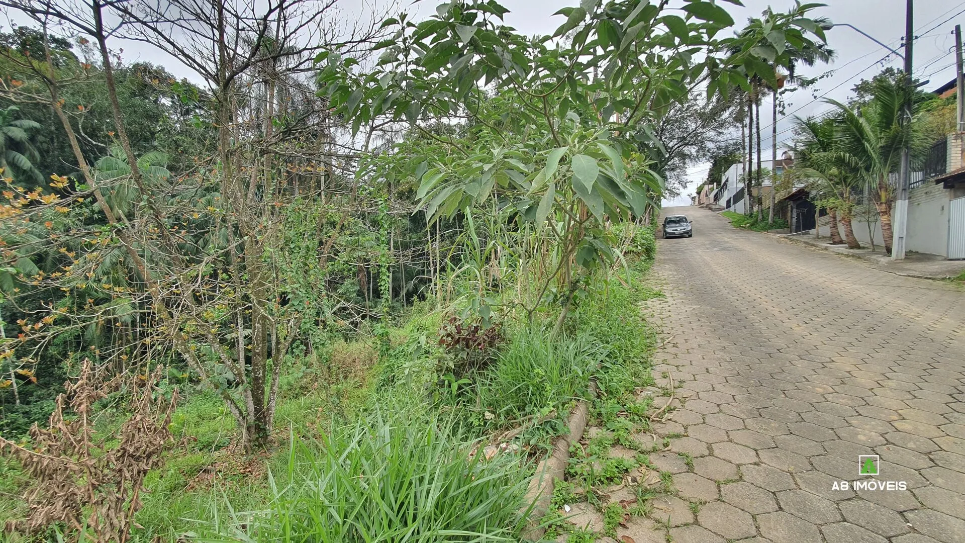 OPORTUNIDADE! Terreno bairro Itoupava Central c/ 345 m R$ 199.000,00 — foto 6