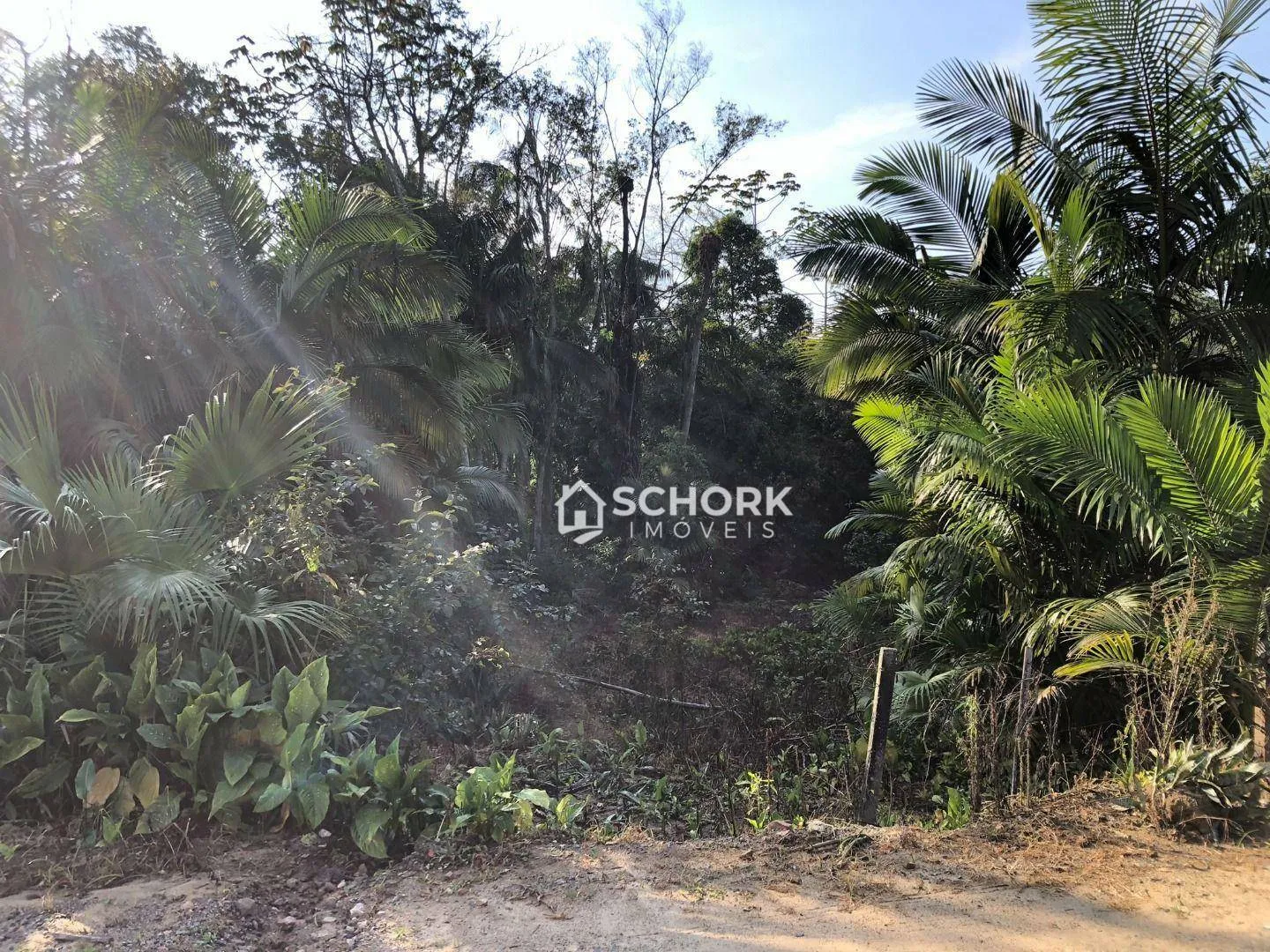 Terreno à venda, 3674 m por R$ 650.000,00 - Fidélis - Blumenau/SC — foto 5