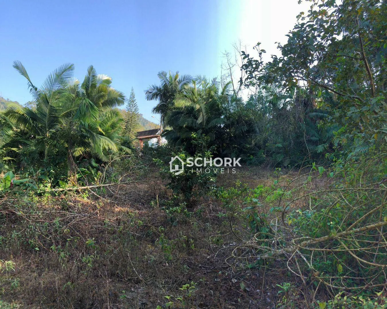 Terreno à venda, 3674 m por R$ 650.000,00 - Fidélis - Blumenau/SC — foto 4