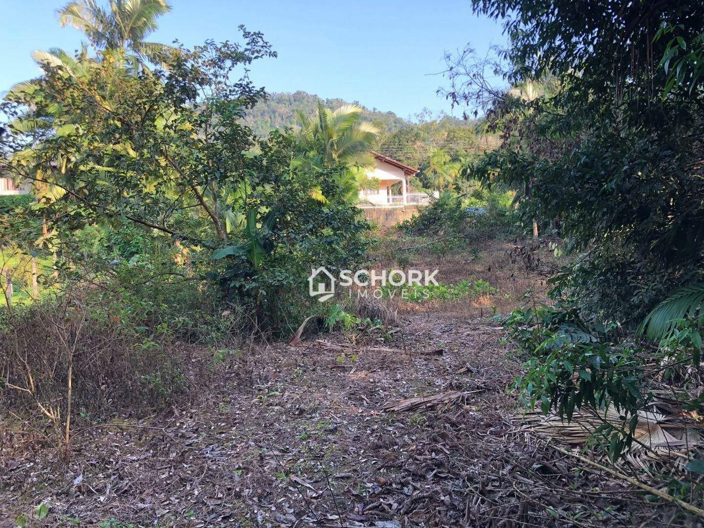Terreno à venda, 3674 m por R$ 650.000,00 - Fidélis - Blumenau/SC — foto 7