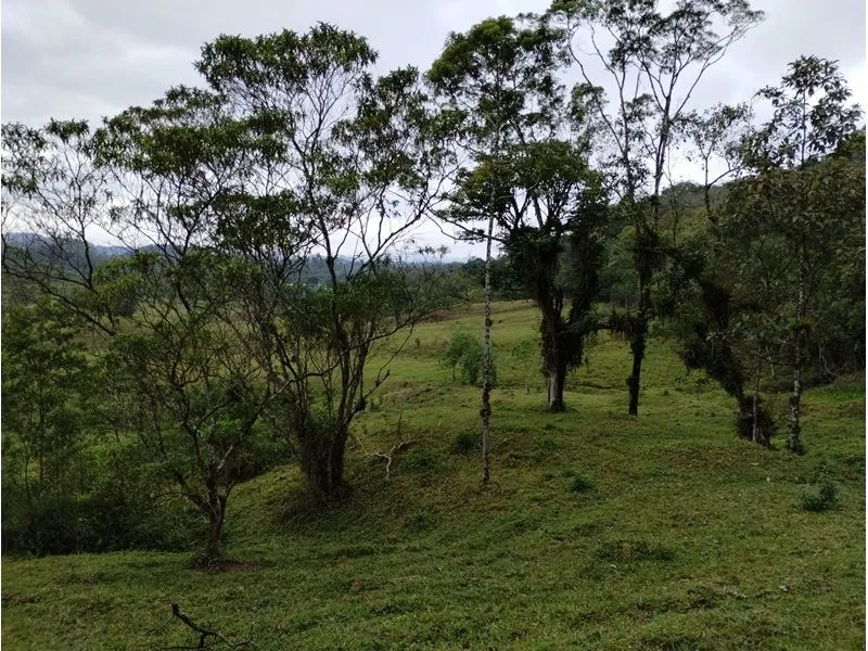 Chácara JOINVILLE - SC — foto 5