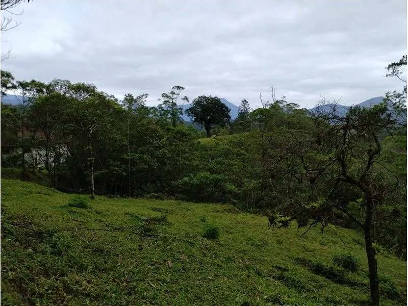 Chácara JOINVILLE - SC — foto 6