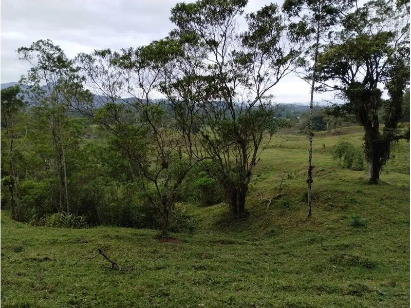 Chácara JOINVILLE - SC — foto 7