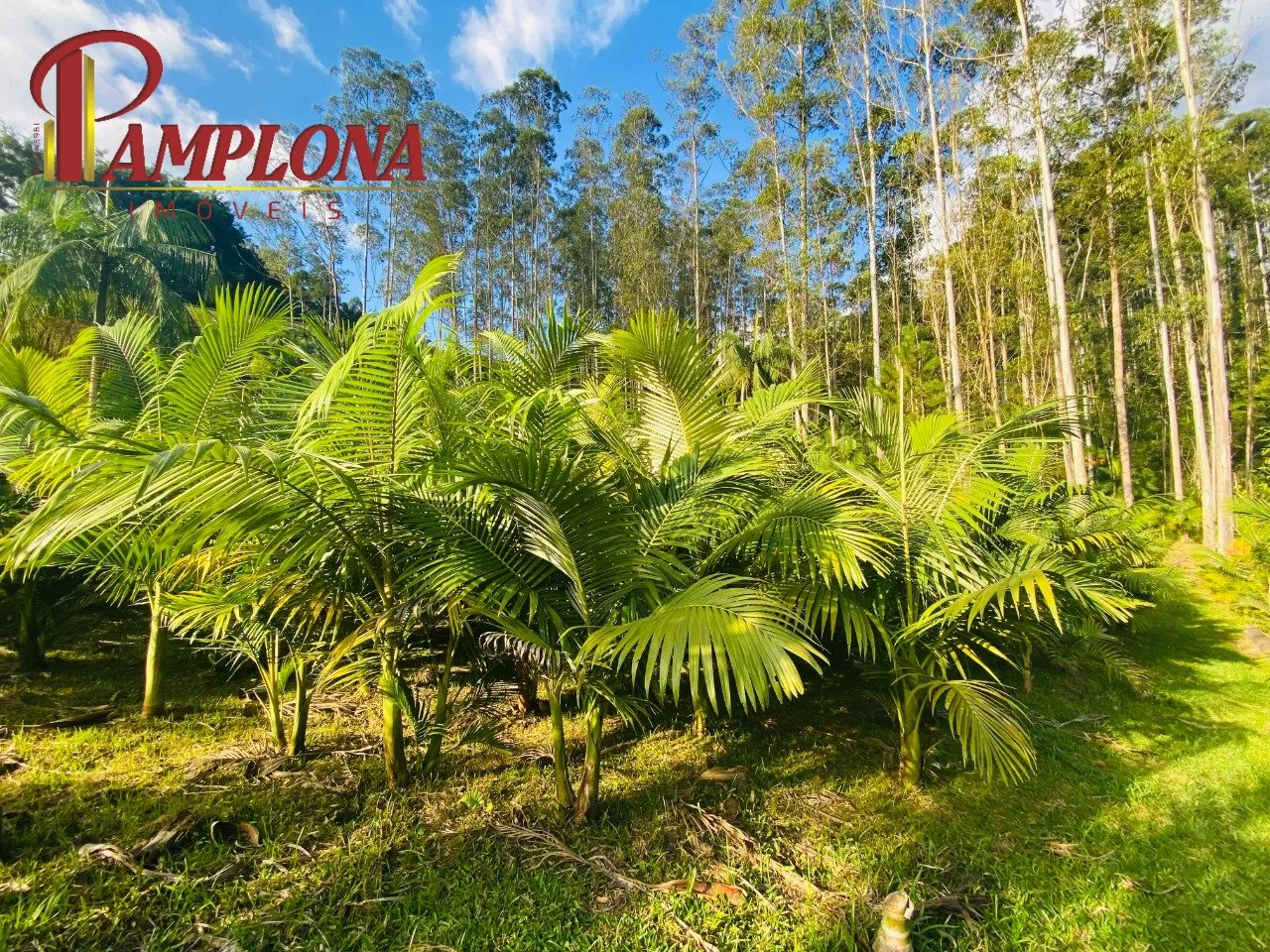 Imóvel — foto 6
